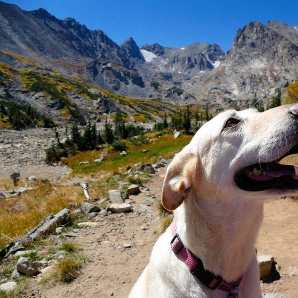 Meet your Posher, Lexi